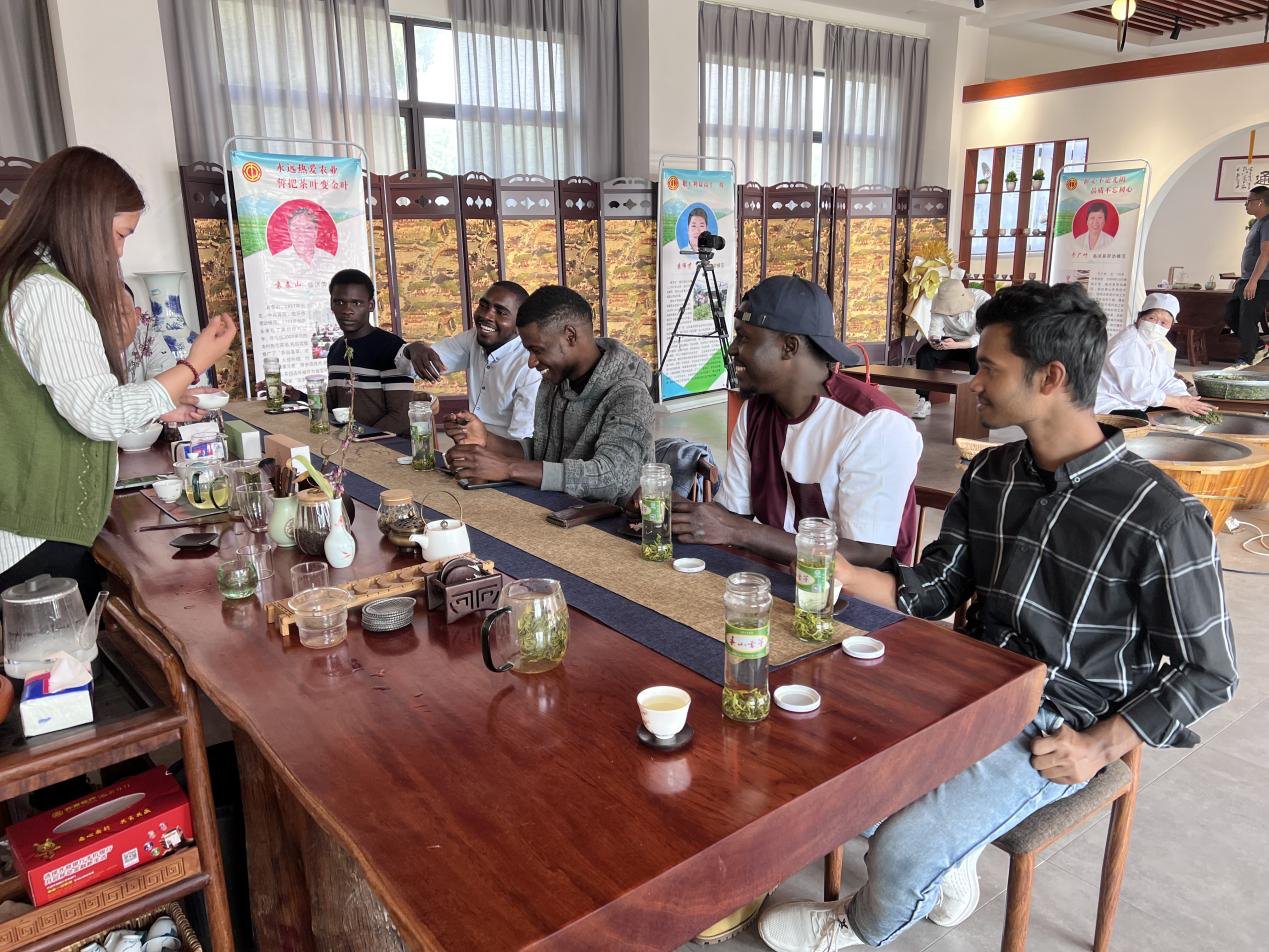 Pola zielonej herbaty w Lanshuo i Shandong torują drogę rewitalizacji obszarów wiejskich