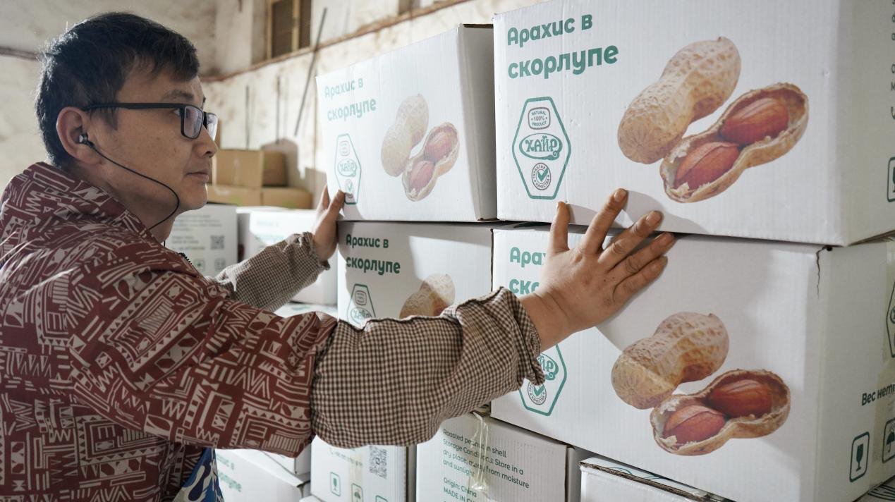 Shandong Linshu Small Peanuts Going Global