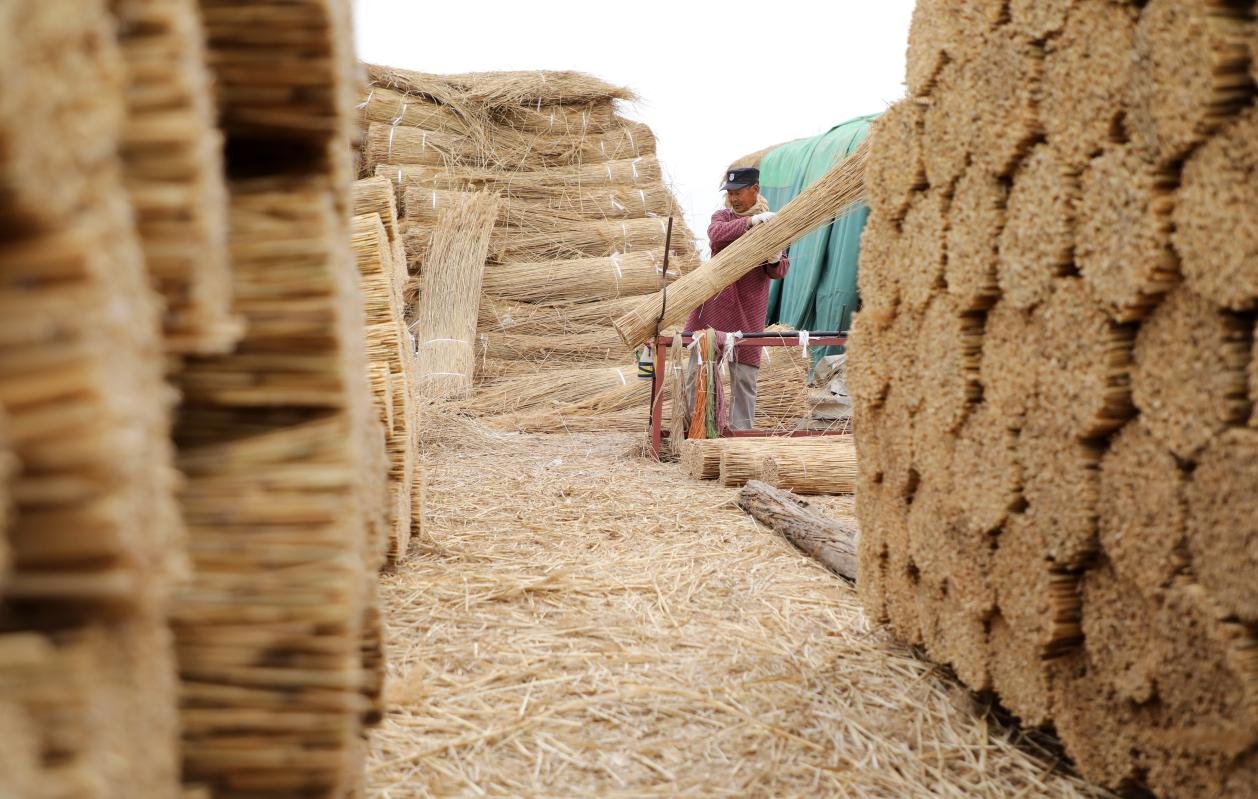 Wudi County Reed Curtain Industry Weaves a New Vision for Rural Prosperity