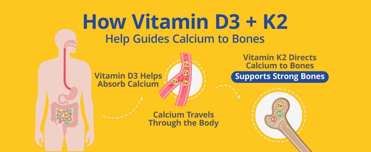 ViVi Youth Launches High-Potency Vitamin D3 K2 Supplement to Support Daily Bone, Muscle, and Immune Wellness